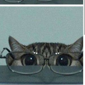 Meet your Posher, Adelle